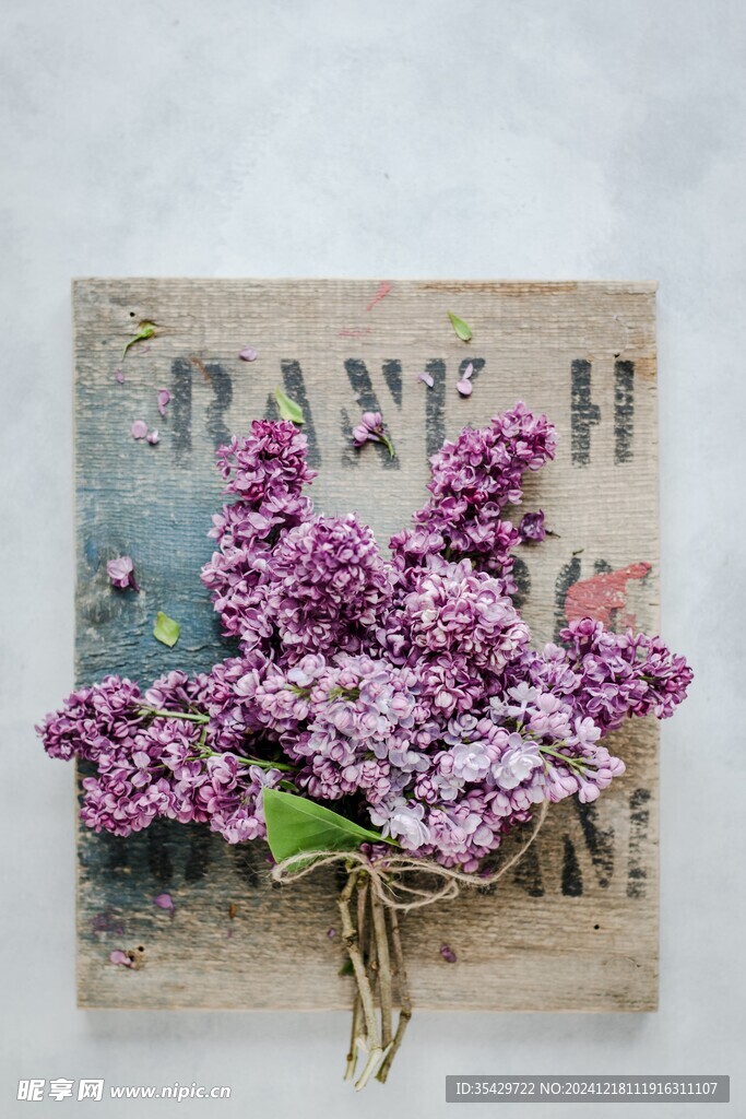 丁香花