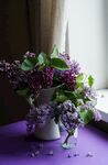 丁香花