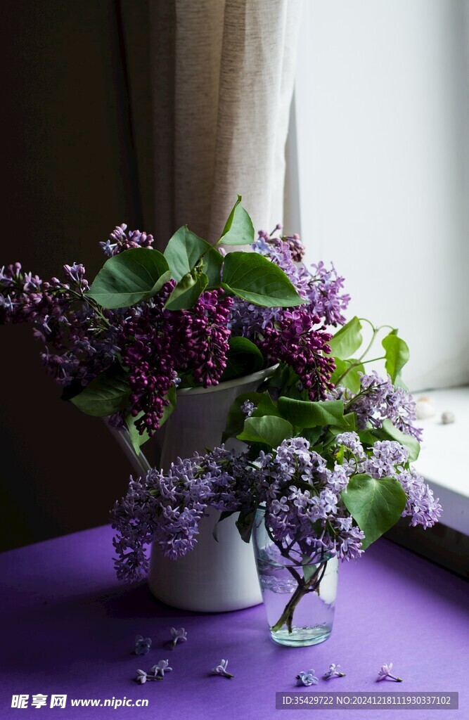 丁香花