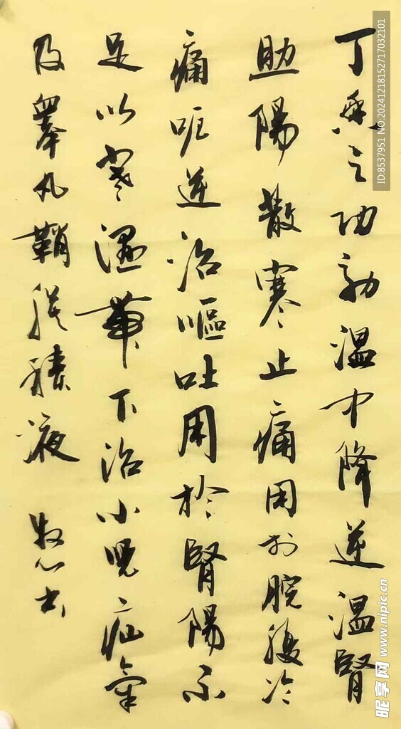 丁香 医书摘抄 杨克东书法