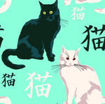 卡通猫