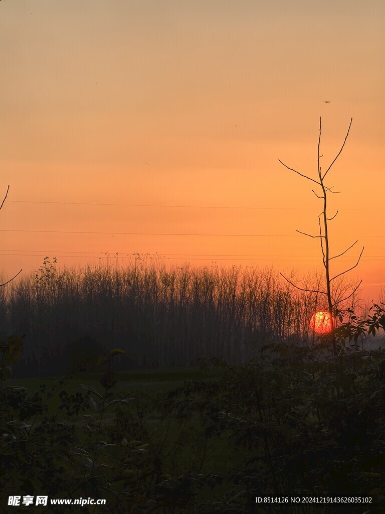 夕阳照片