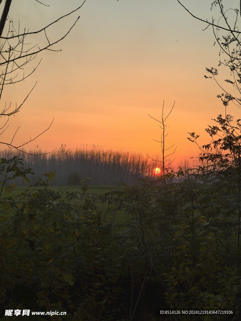 夕阳照片