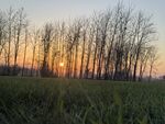 夕阳余晖