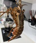 龙虾