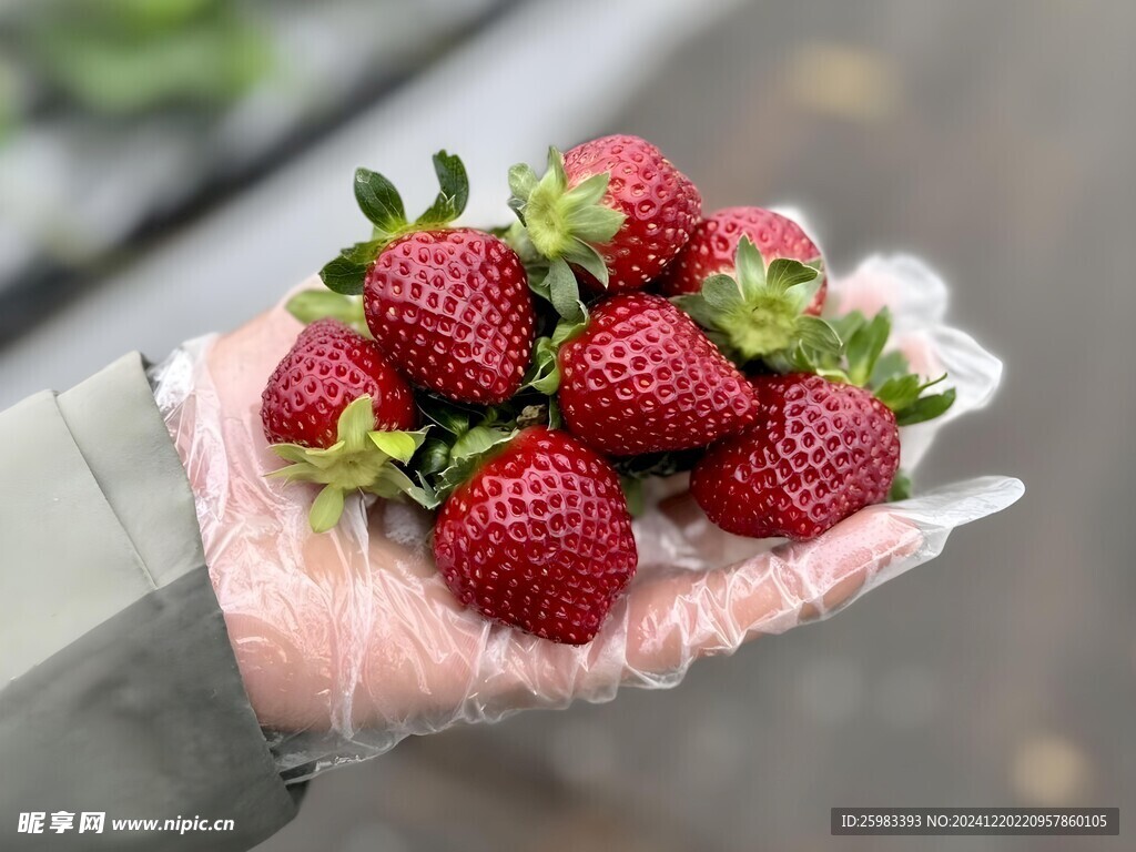 草莓