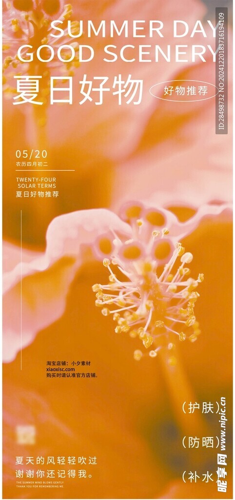 缤纷夏日