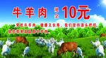 牛羊肉现金券
