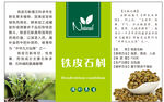 铁皮石斛