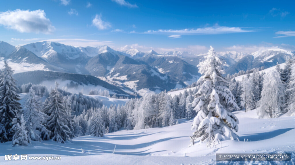 冬天的雪景银装素裹宛如童话