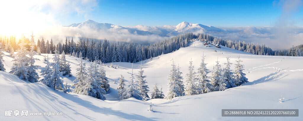 东北雪景