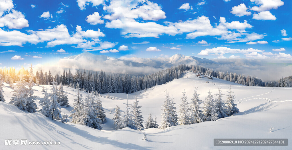 东北雪景