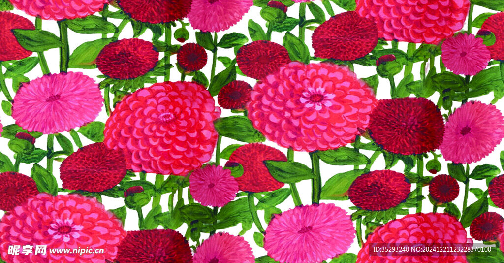 菊花 碎花 大花 叶子