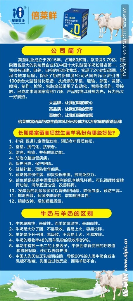 公司简介