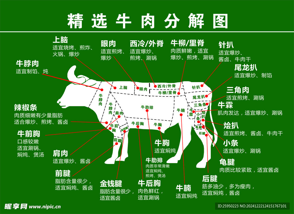 牛分解图