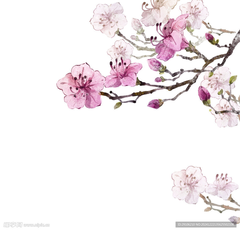 桃花