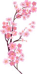 手绘桃花