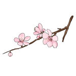 手绘桃花