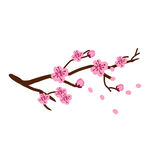 手绘桃花