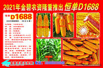 种业宣传单