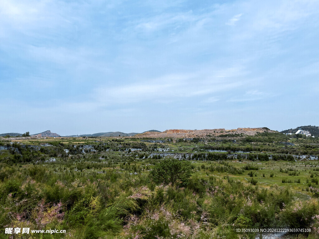 旷野