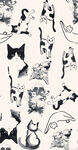 猫米