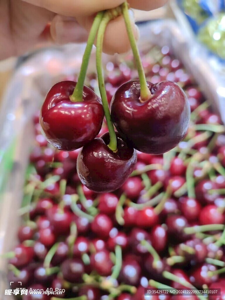 车厘子大樱桃