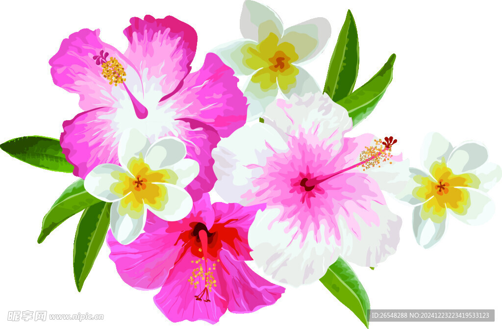 花卉素材