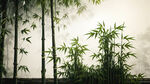 竹子节节高升主题背景