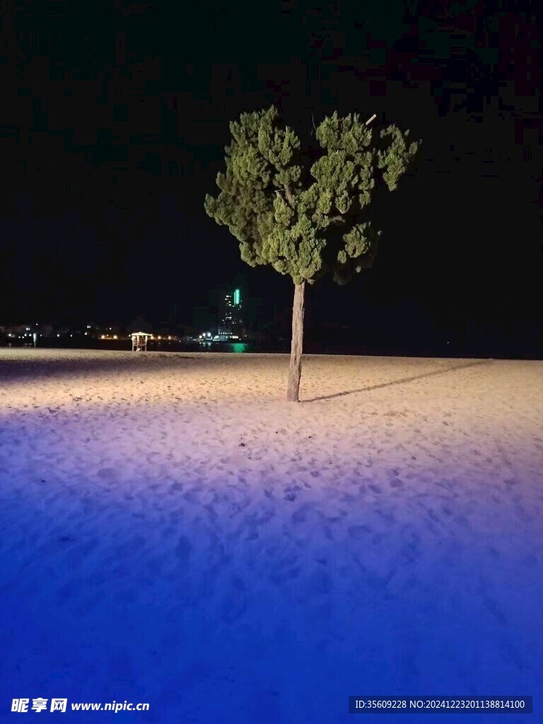 爱心树