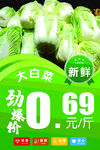 大白菜