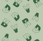 字母