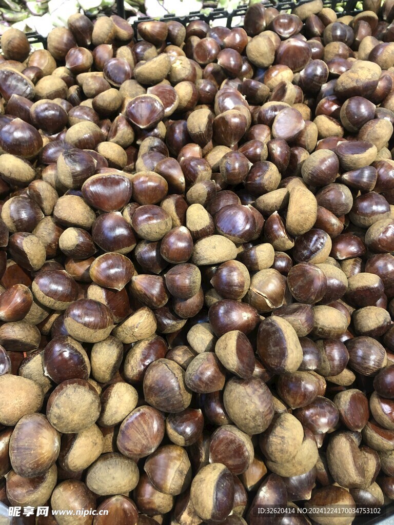 板栗