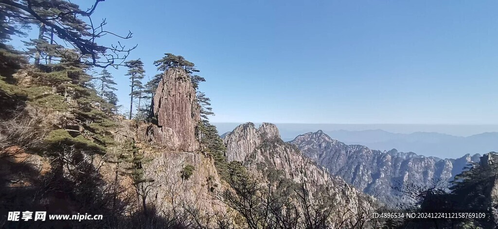 旅游  迎客松  黄山风景区 