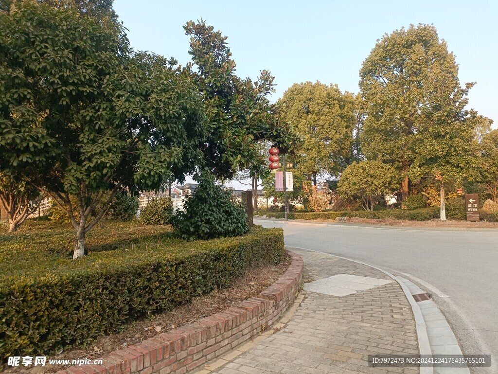 园林景观