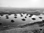 河滩滩涂地