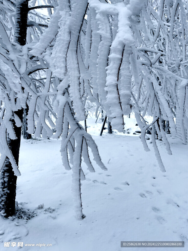 雪景 