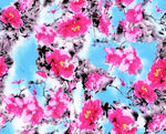 数码 乱花