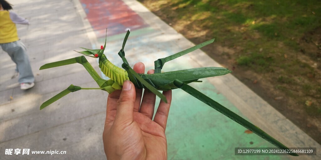 编制蝗虫