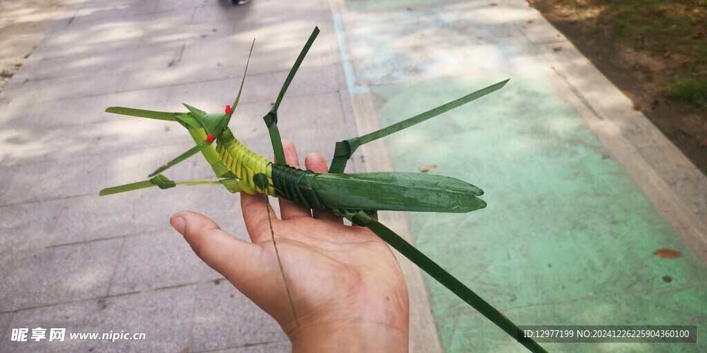 编制蝗虫