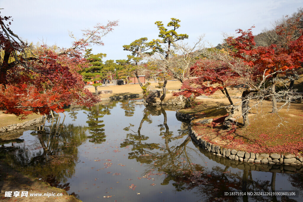 奈良公园秋景