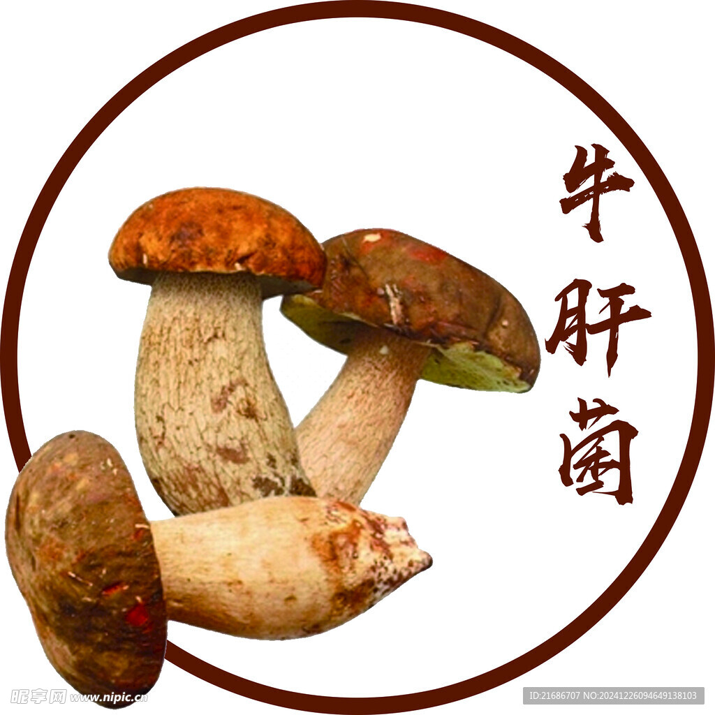 牛肝菌