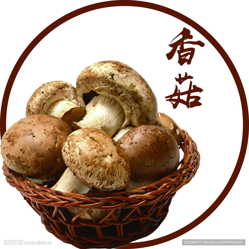 香菇