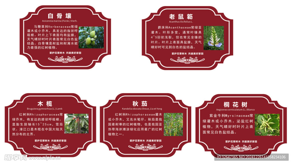 植物牌