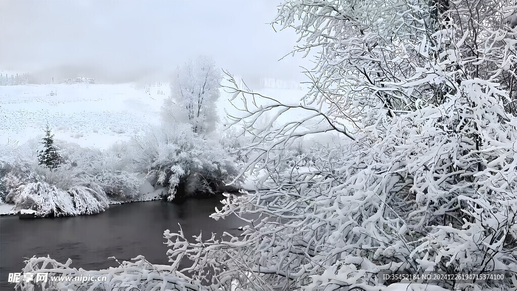 积雪的树林
