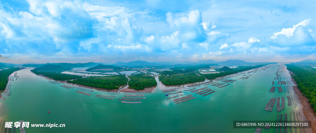 镇海湾红树林湿地公园