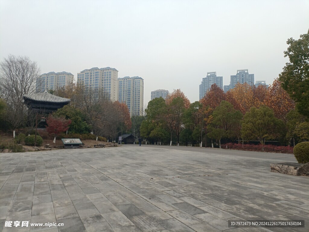 城市公园
