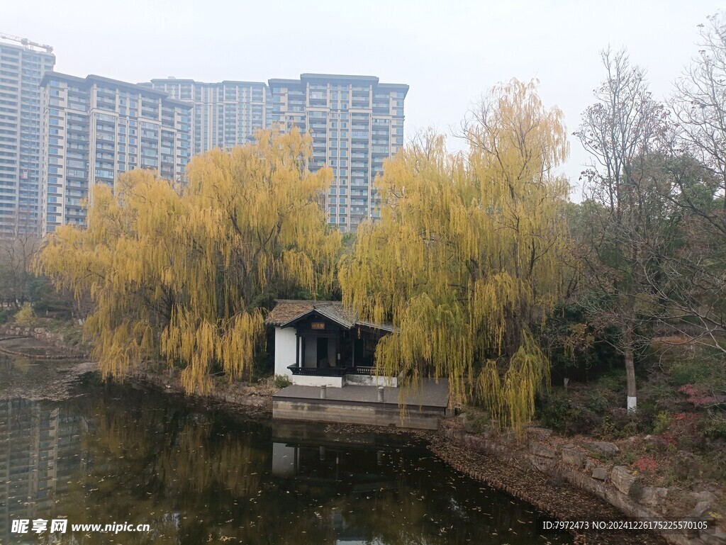 园林景观
