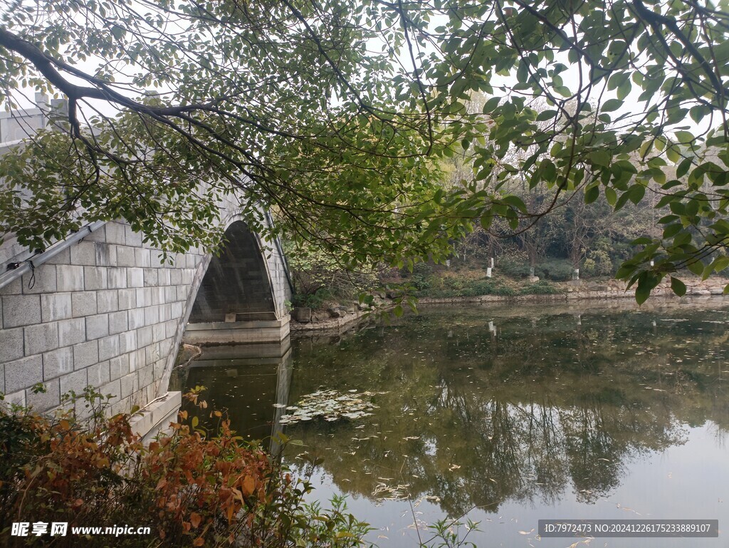 园林景观