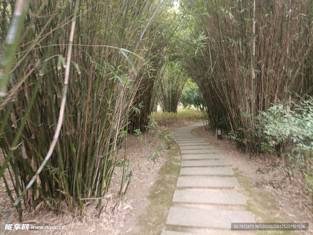 园林景观
